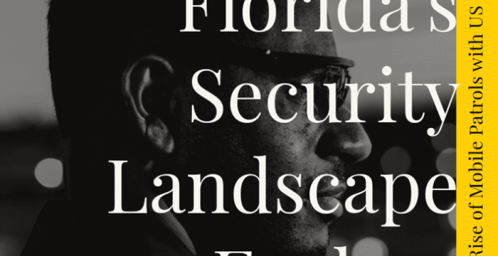 image-776x575-1-768x569